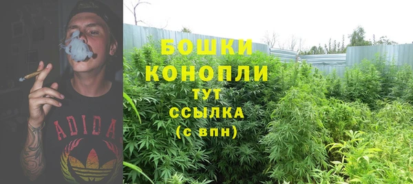 прущая мука Беломорск