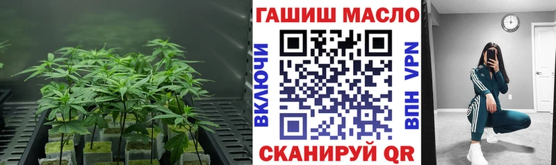 Дистиллят ТГК концентрат  магазин продажи   Магас 